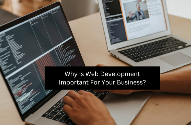 Why Is Web Development Important For Your Business?